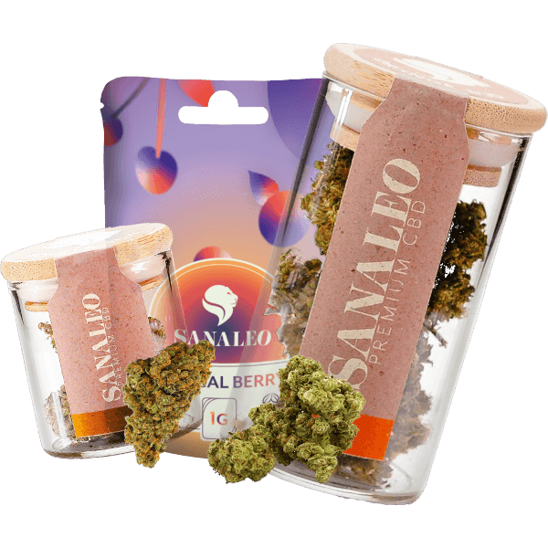 Sanaleo Premium CBD-Produkte: Glasbehälter mit CBD-Blüten und tropische Beeren-Aroma-Verpackung. Perfekt als Tabakersatz und für entspannende Momente. Ideal für natürliche Wellness-Lösungen.