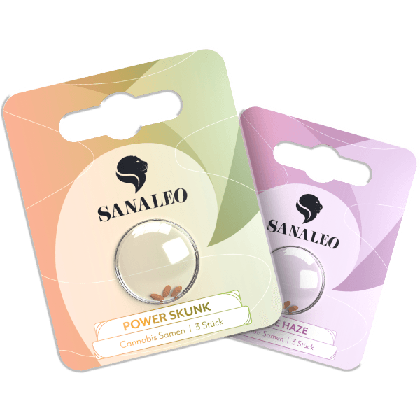 Zwei Packungen Cannabissamen von Sanaleo, Sorten Power Skunk und Silver Haze, jeweils mit 3 Samen. Verpackung in frischen Pastellfarben mit klarem Markenlogo, ideal für den Anbau hochwertiger CBD-Pflanzen. Perfekt für Gartenanfänger und erfahrene Züchter.