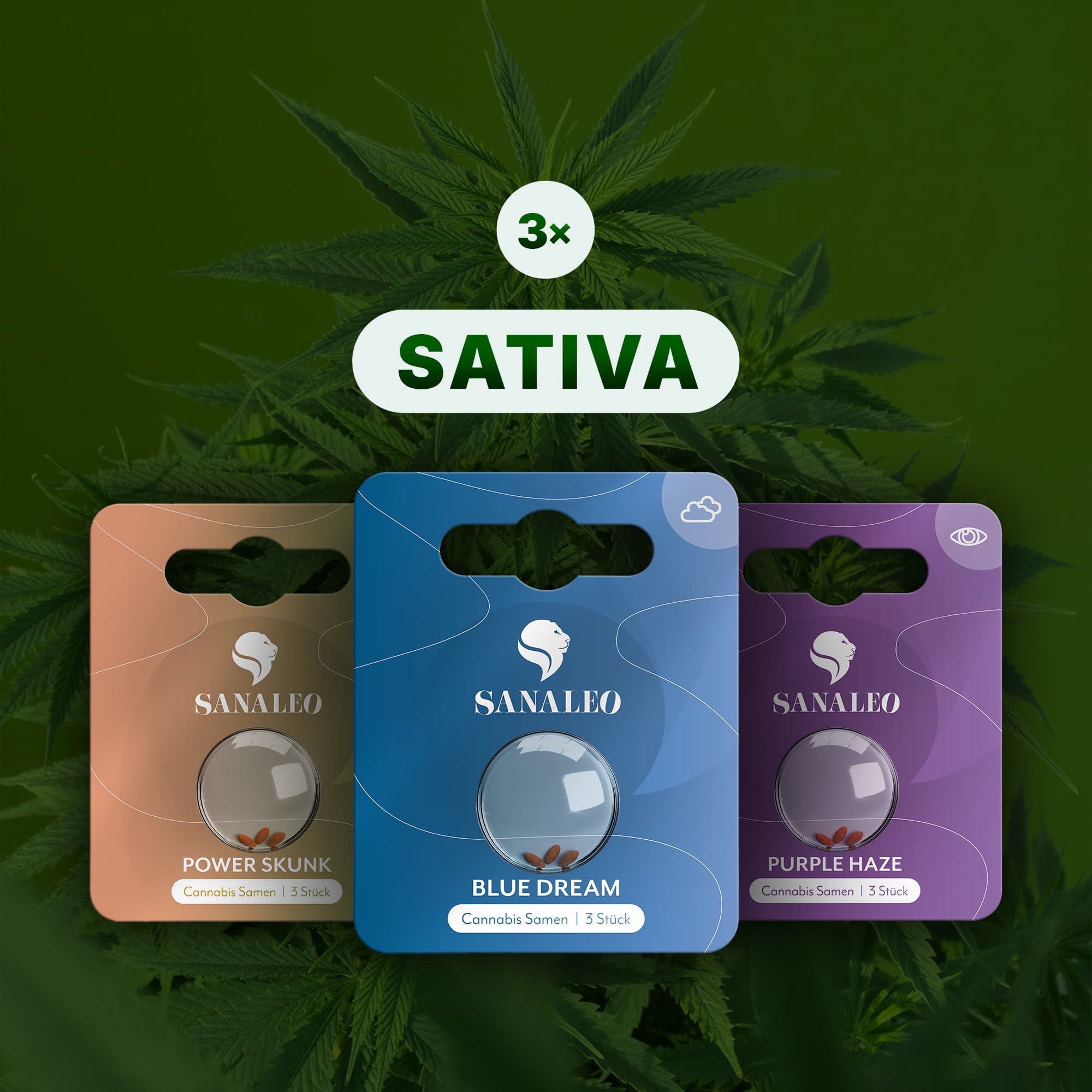 Sanaleo Cannabis Samen Packungen: Blue Dream, Power Skunk, Purple Haze, je 3 Stück