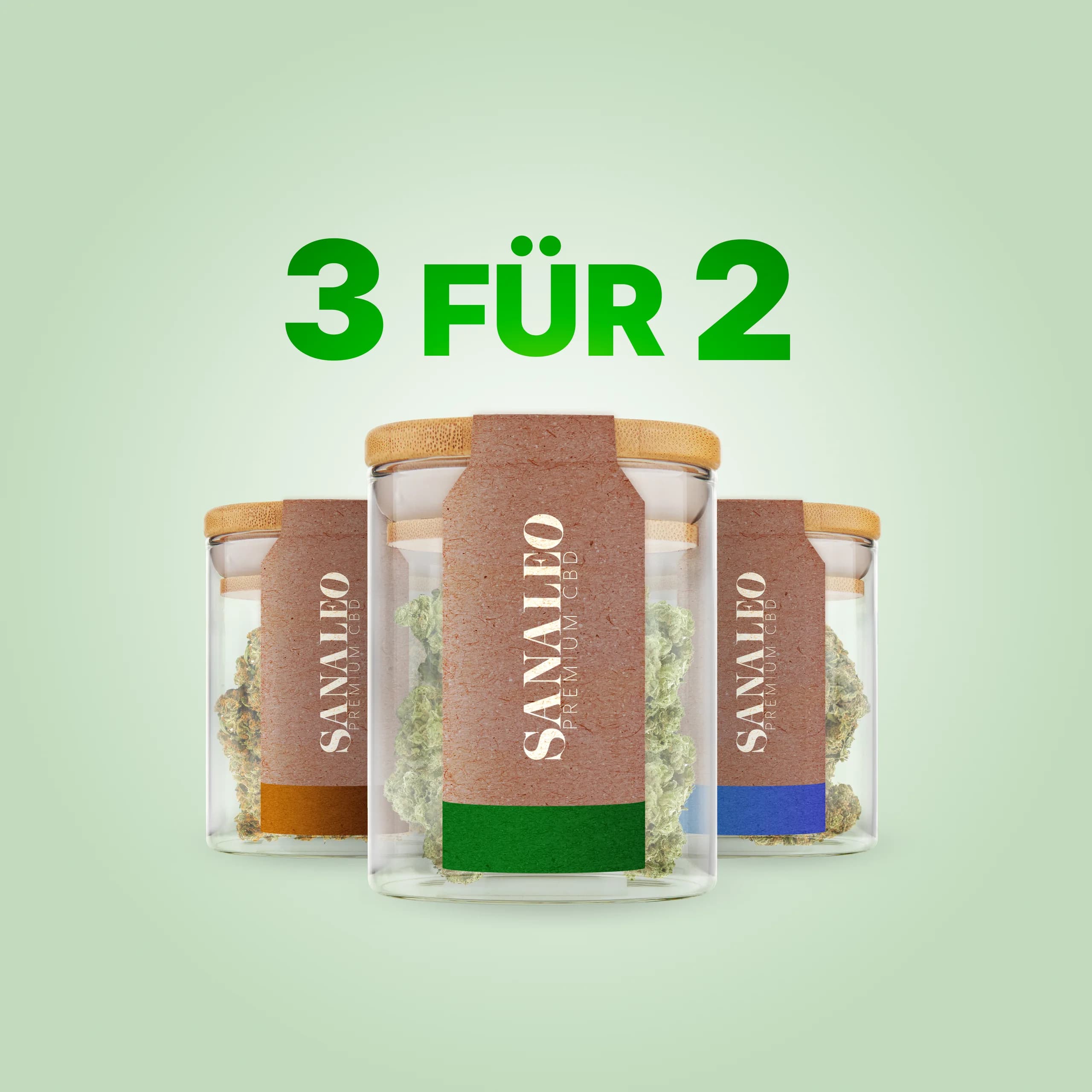 Sanaleo CBD-Gläser mit Blüten, Bambusdeckeln und braunen Etiketten – 3 für 2