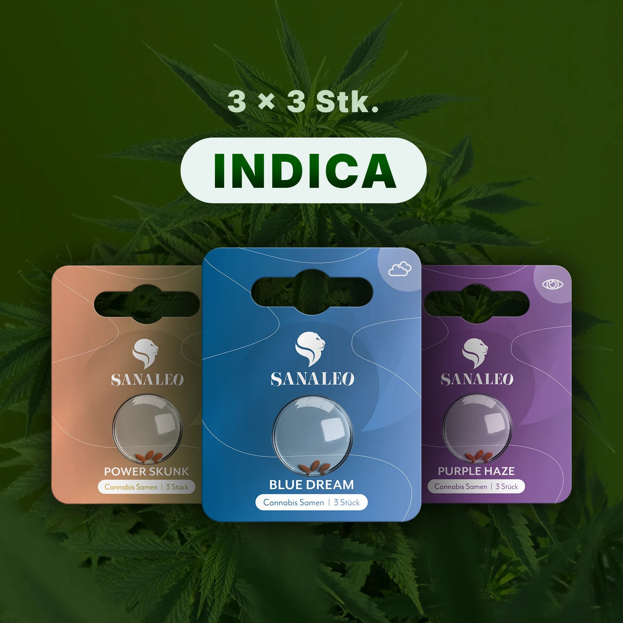 Sanaleo Cannabis Samen Packungen: Blue Dream, Power Skunk, Purple Haze, je 3 Stück