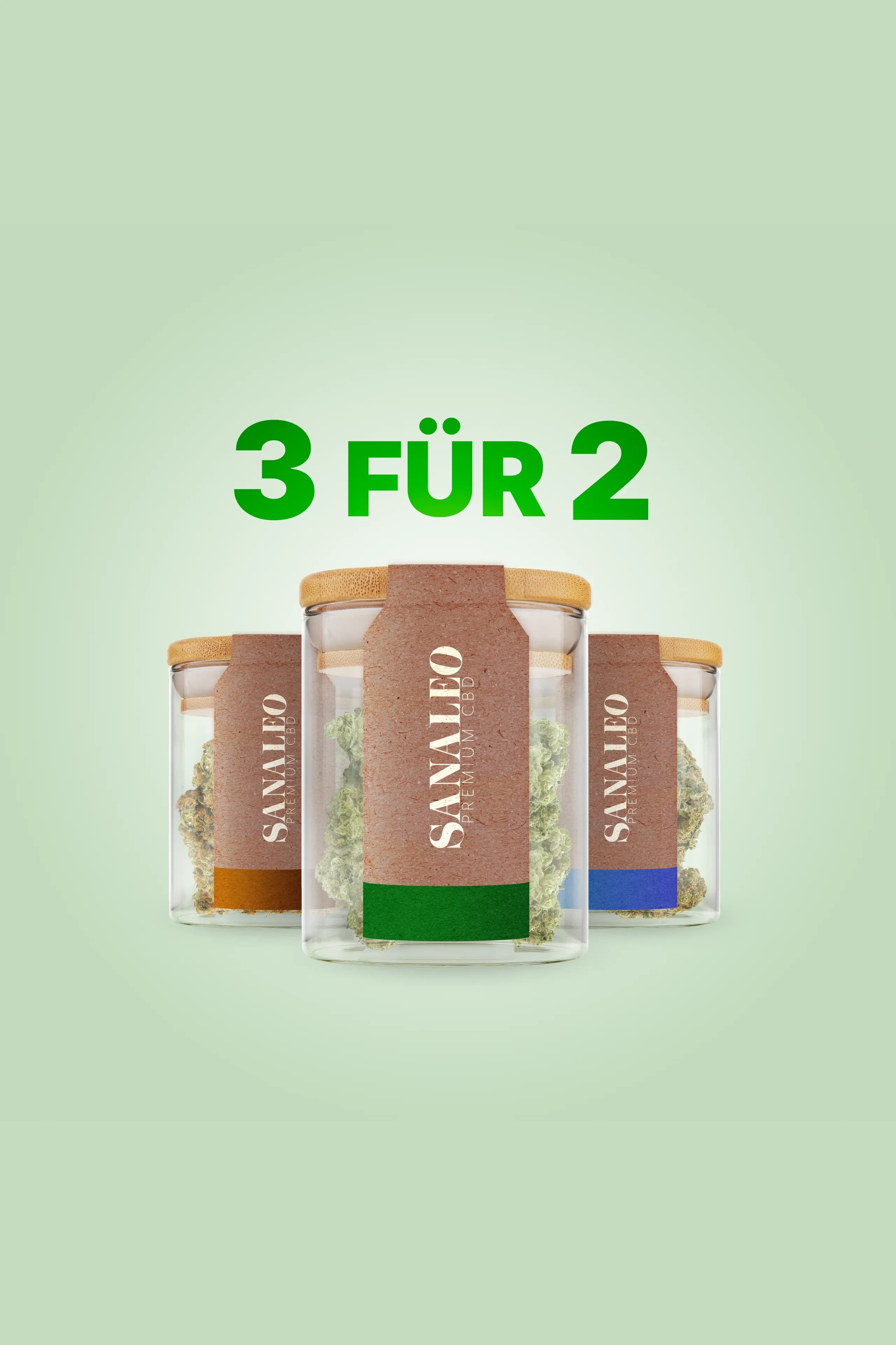 Drei Gläser mit Sanaleo Premium CBD Blüten vor grünem Hintergrund, Sonderangebot "3 für 2" für CBD-Produkte.