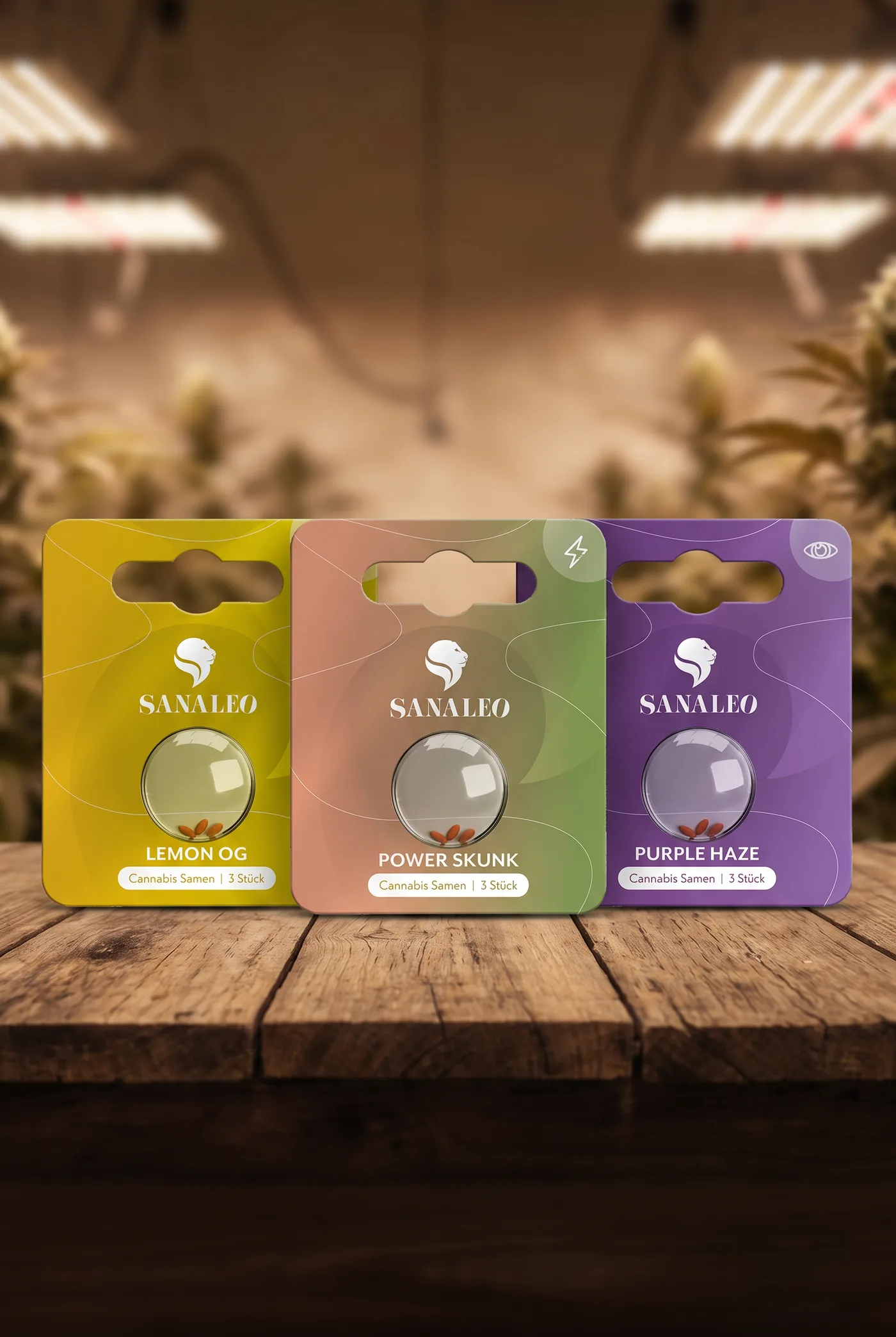 Drei Packungen Sanaleo Cannabis Samen der Sorten Lemon OG, Power Skunk und Purple Haze auf einem Holztisch im Growroom