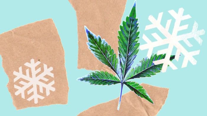 3 erstaunliche Vorteile von Gefriertrocknung