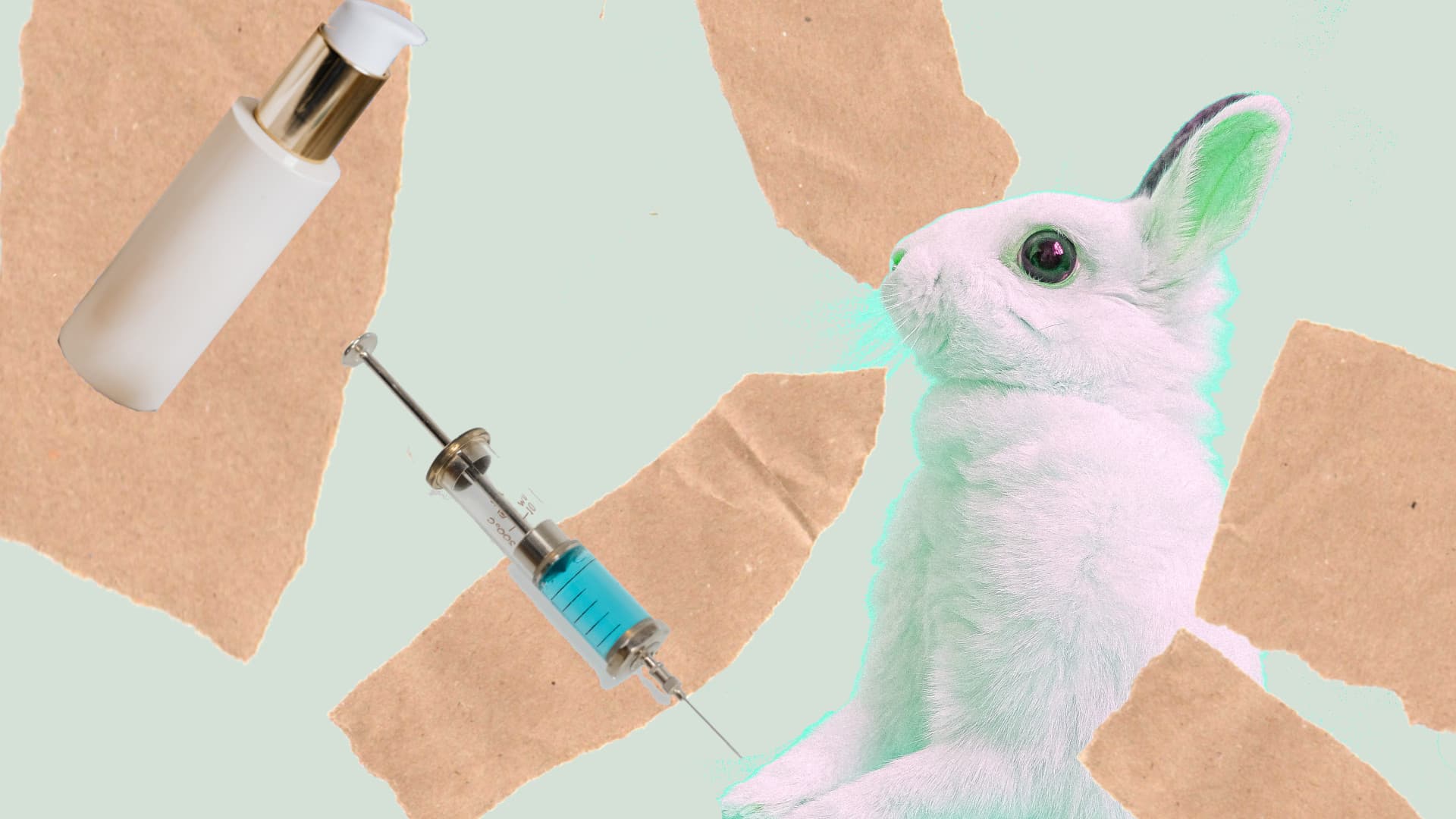 3 grundlegende Fakten zu Tierversuchen in Deiner Kosmetik