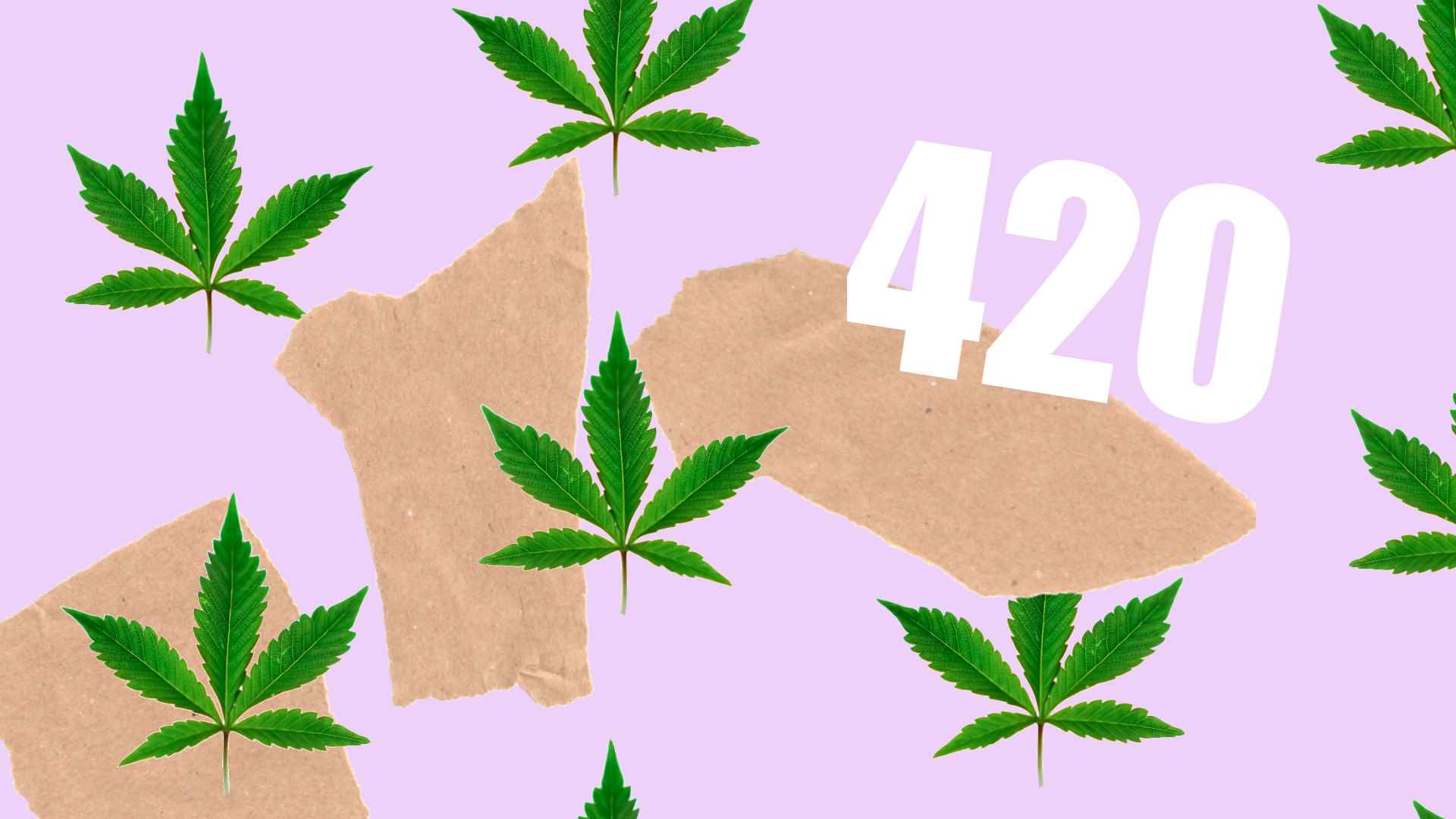420: Der Ursprung des populären Cannabiscodes