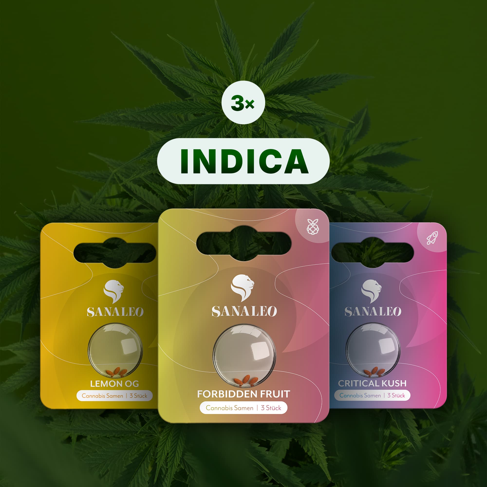 Sanaleo Indica Cannabis Samen – 3×3 Packungen mit Lemon OG, Forbidden Fruit, Critical Kush