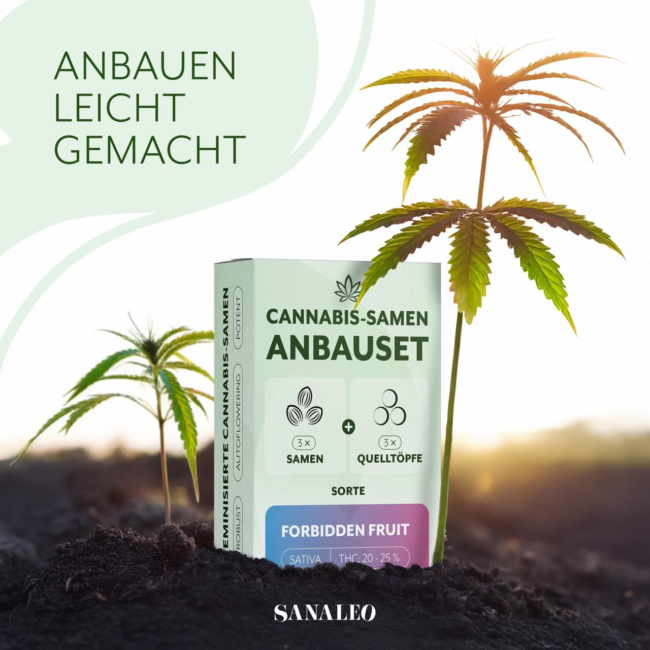 Cannabis Anbauset