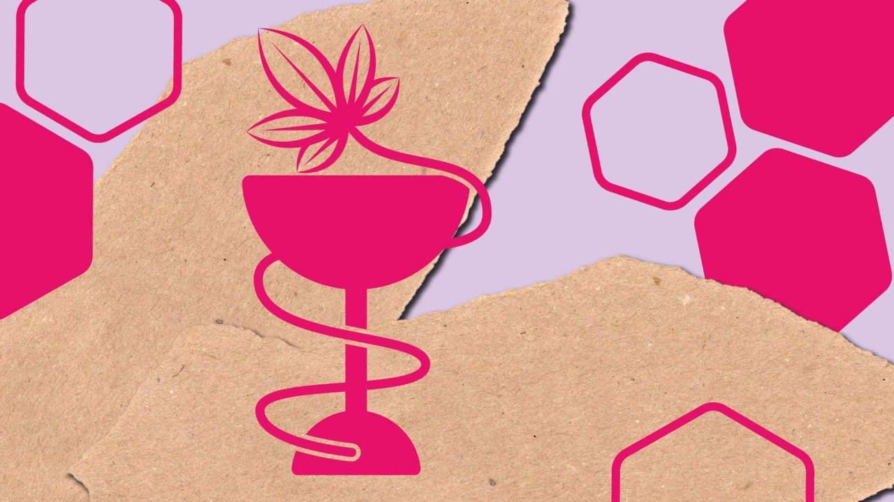 Die Hanfpflanze – Anwendungsfelder und Vorteile