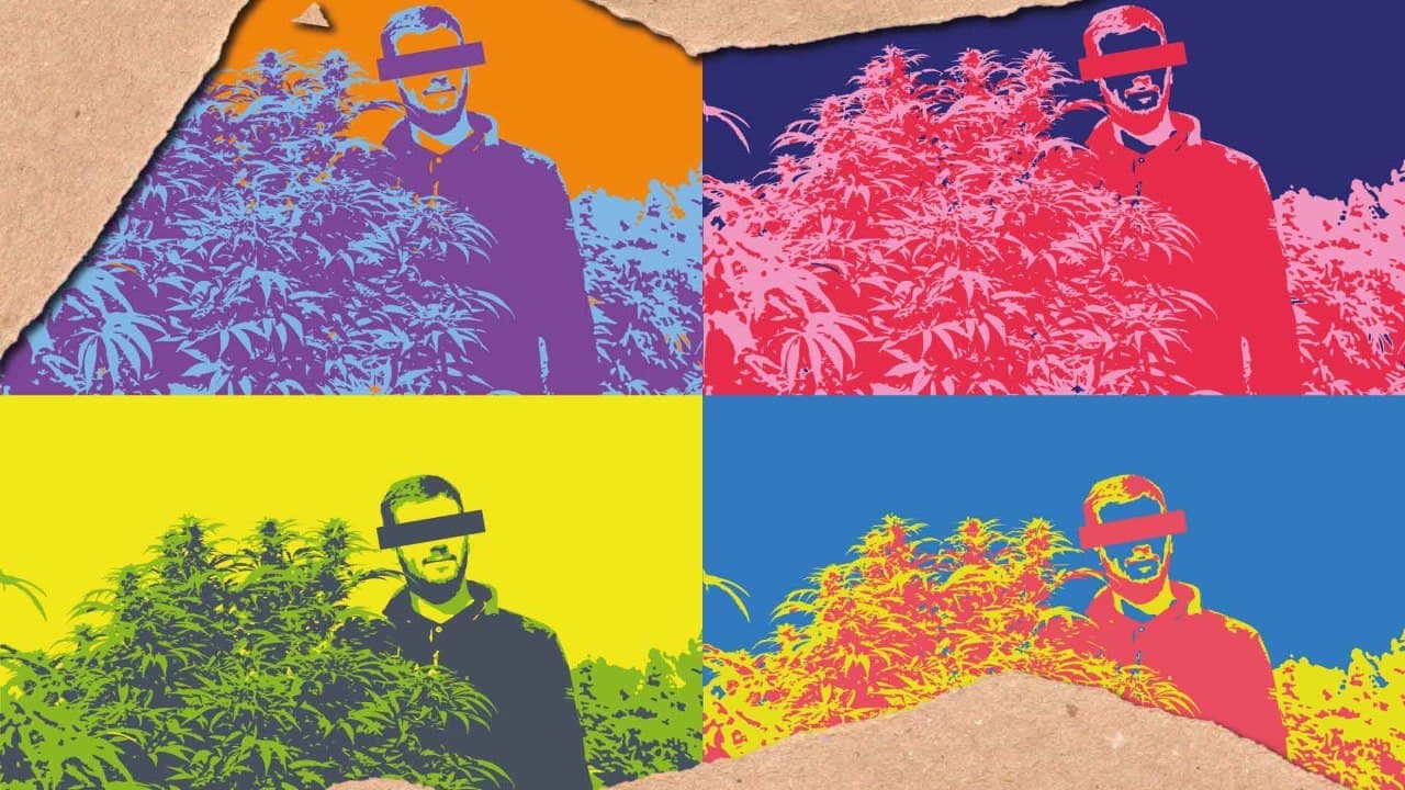 Die Repräsentation von Cannabis in der Popkultur