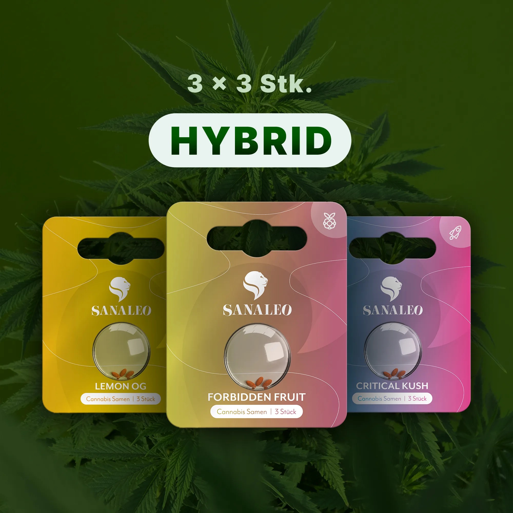Sanaleo Hybrid Cannabis Samen – 3×3 Packungen mit Lemon OG, Forbidden Fruit, Critical Kush