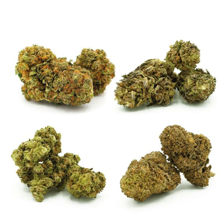 CBD-Blüten kaufen - Hanfblüten in Bio-Qualität | SANALEO