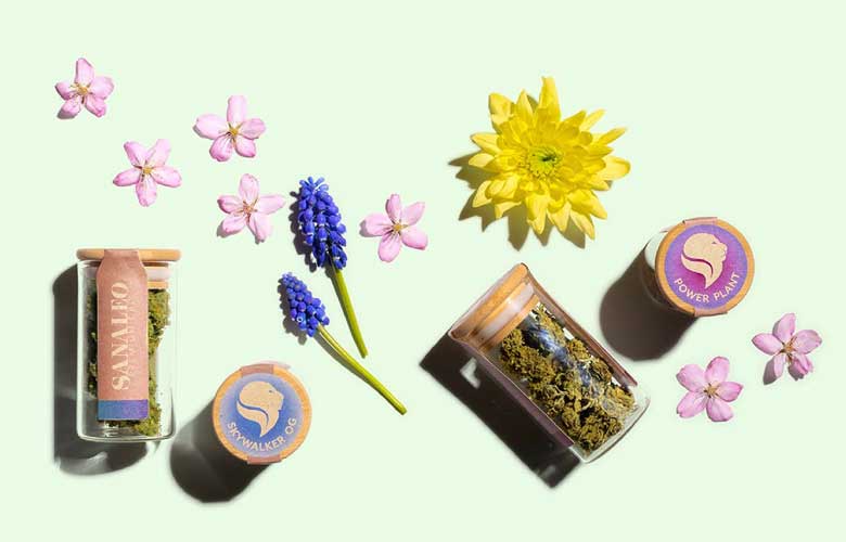 Titelbild für die Produktkategorie CBD-Blüten: Zu sehen ist eine Collage aus Blütengläsern von SANALEO und verschiedenen Deko-Elementen wie Blumen und Blättern