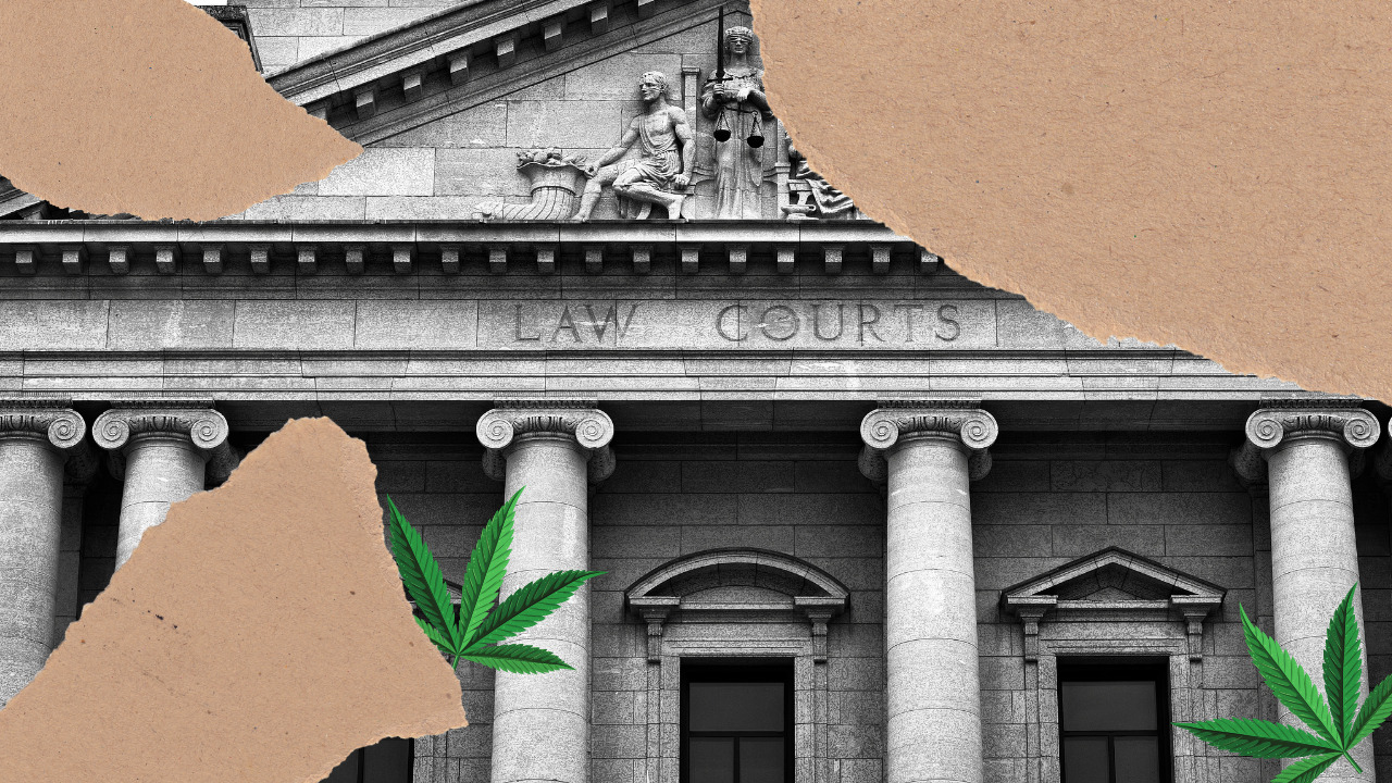 Updates zur Cannabis-Legalisierung